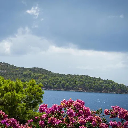 Apartman Ena By The Sea Prizba Room photo