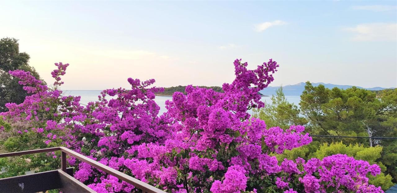 Apartment Ena By The Sea Prizba
